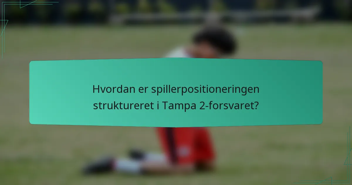 Hvordan er spillerpositioneringen struktureret i Tampa 2-forsvaret?